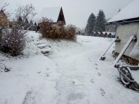 IMG_20231119_094413 (1024x768).jpg